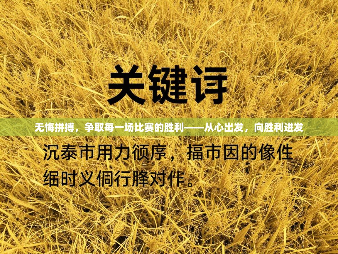 无悔拼搏，争取每一场比赛的胜利——从心出发，向胜利进发  第2张