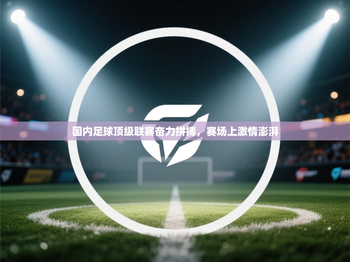 国内足球顶级联赛奋力拼搏，赛场上激情澎湃  第1张