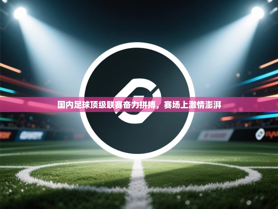 国内足球顶级联赛奋力拼搏，赛场上激情澎湃  第2张