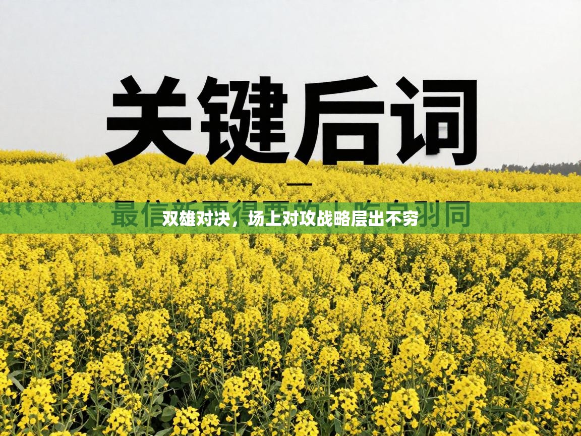 双雄对决,场上对攻战略层出不穷 第1张