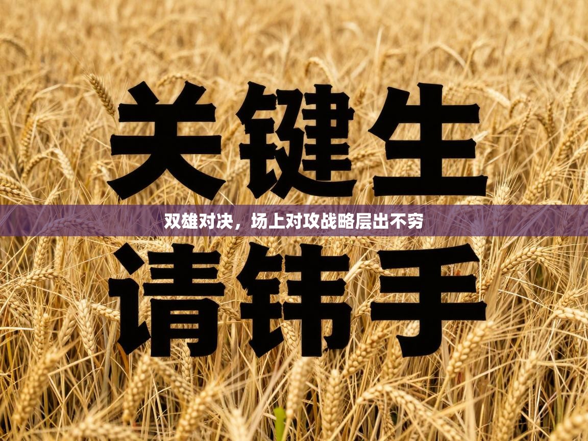 双雄对决,场上对攻战略层出不穷 第2张
